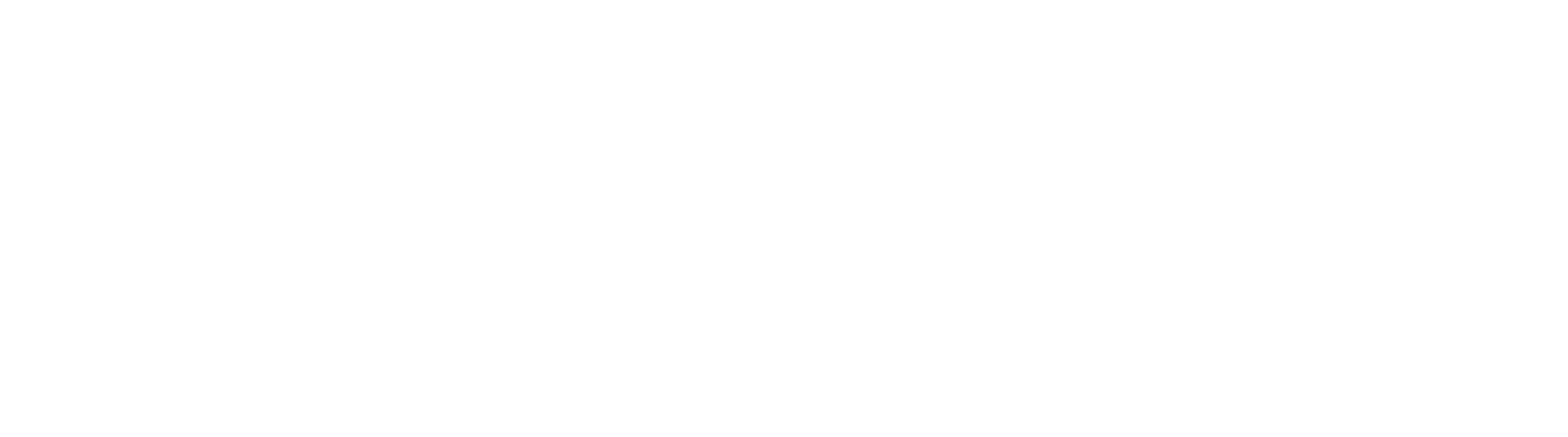 Make A Wish South Carolina Logo